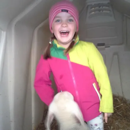 Bauernhof Schornlehen * グロースアルル