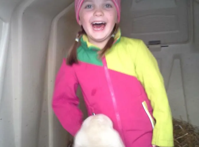 Bauernhof Schornlehen * Grossarl