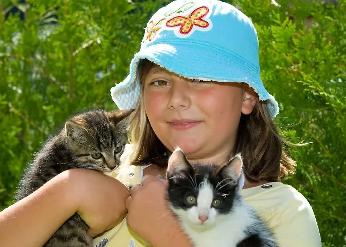 Διαμέρισμα Bauernhof Schornlehen